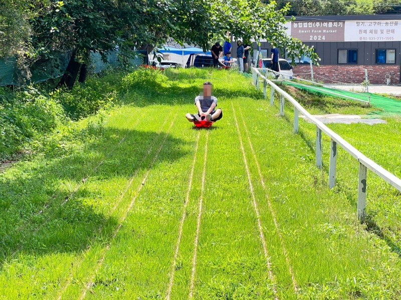 3. 레일썰매 (2).jpg